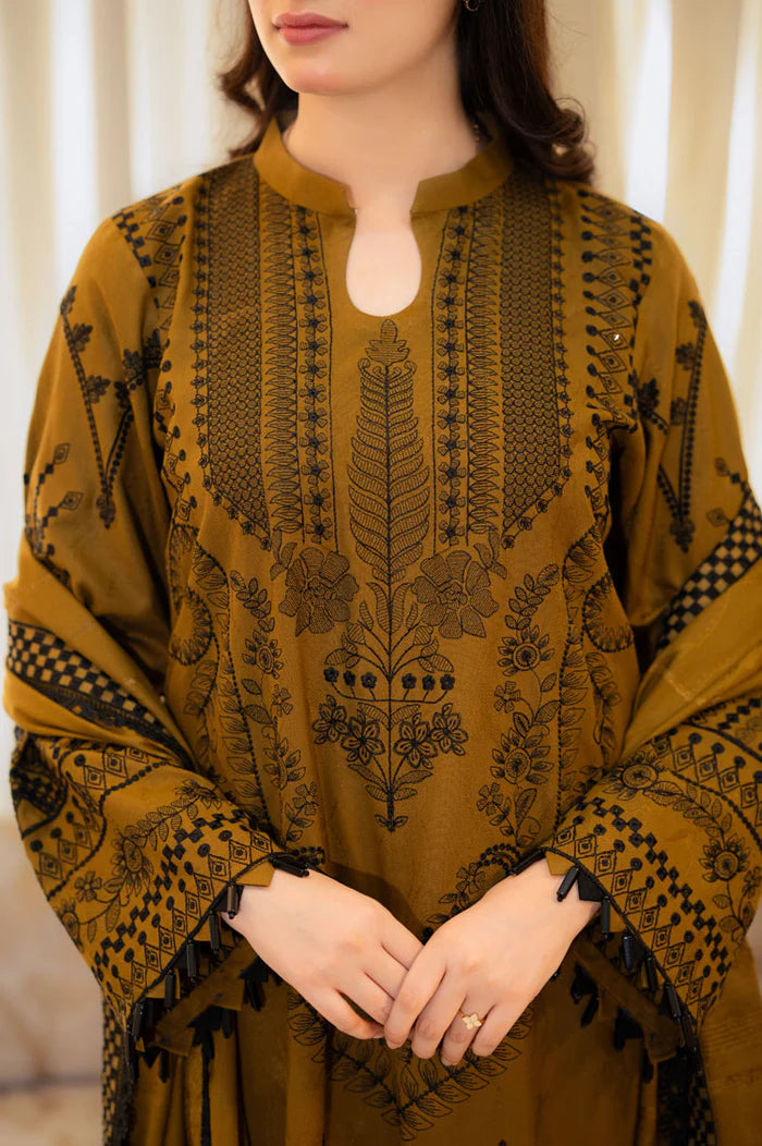 3 Piece Stitched Embroidered Dhanak Suit - Ready To Wear